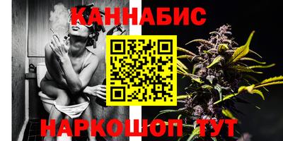 прущие грибы Беслан