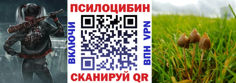 Галлюциногенные грибы прущие грибы  Елец 