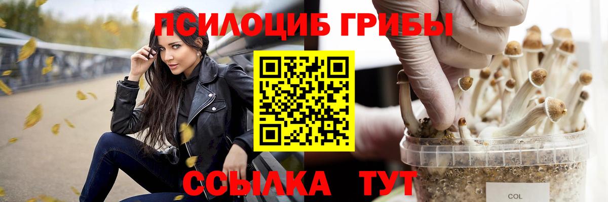 Псилоцибиновые грибы Magic Shrooms  Елец  Псилоцибиновые грибы мицелий 