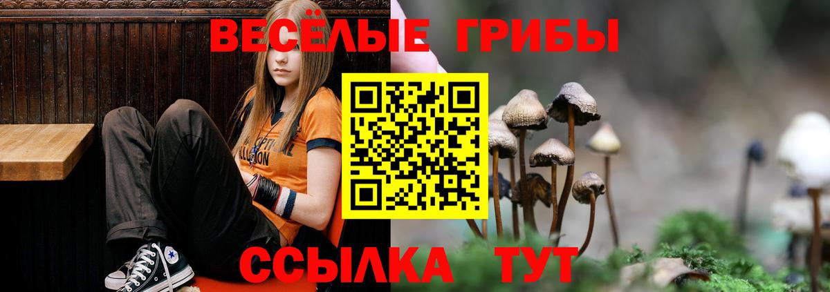 Галлюциногенные грибы Psilocybe  Вход с VPN  Галлюциногенные грибы Psilocybine cubensis  наркотики  Елец 